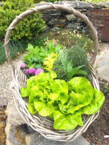 Basket of produce for guests