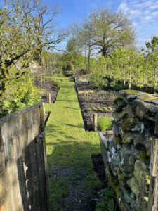 View into vegetable garden