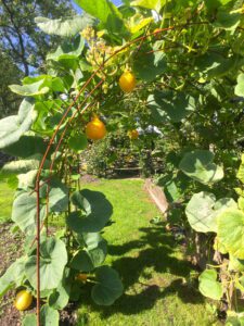 Squash on rebar archway