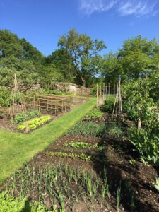 View into vegetable garden