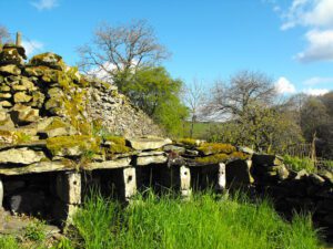 Listed beeboles