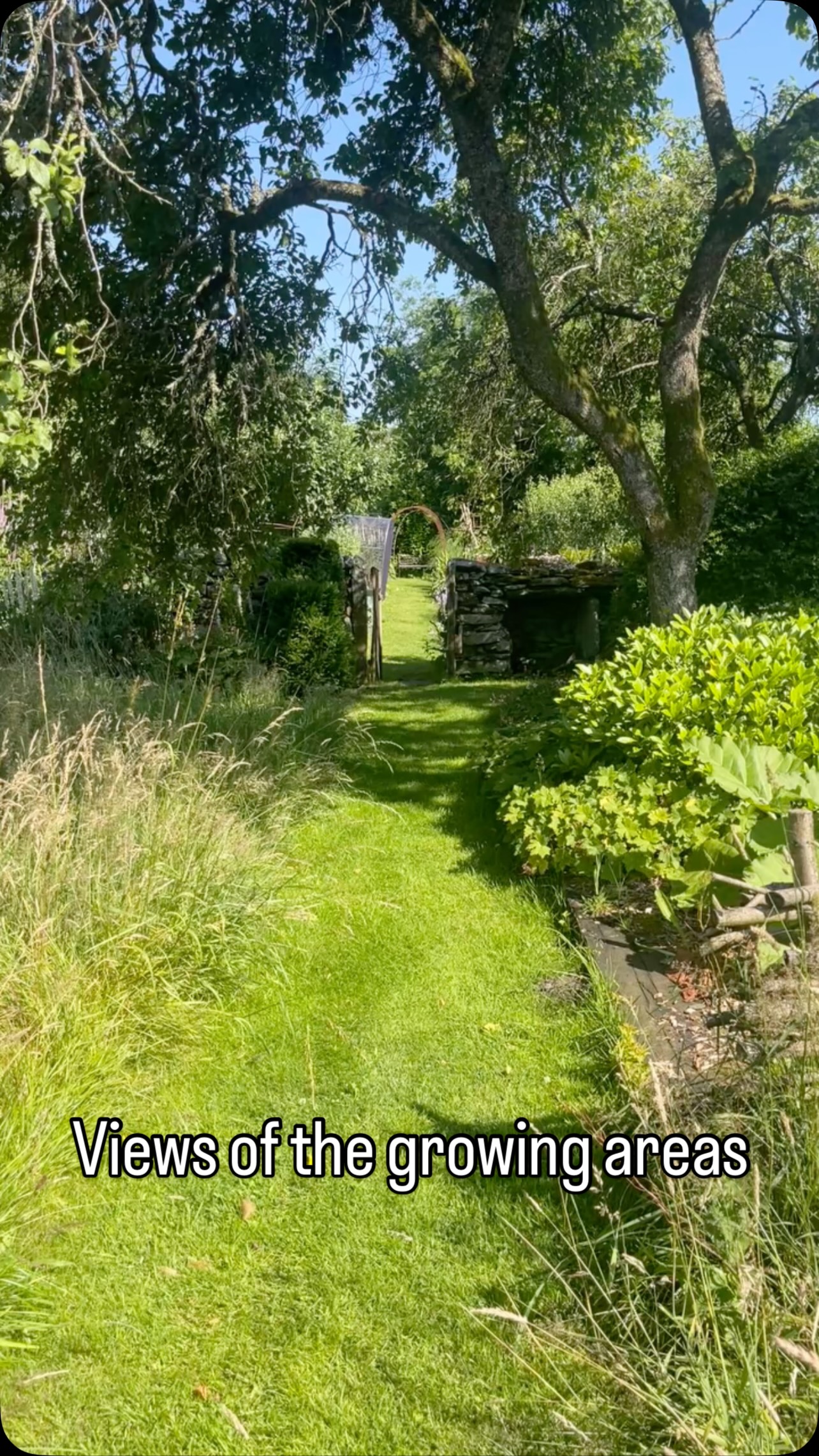 Could you see yourself living here?
@davisandbowringestateagent 
@crumblecottages 

#lakedistrict  #cartmel  #propertyforsale #rightmoveuk #crumblecottages